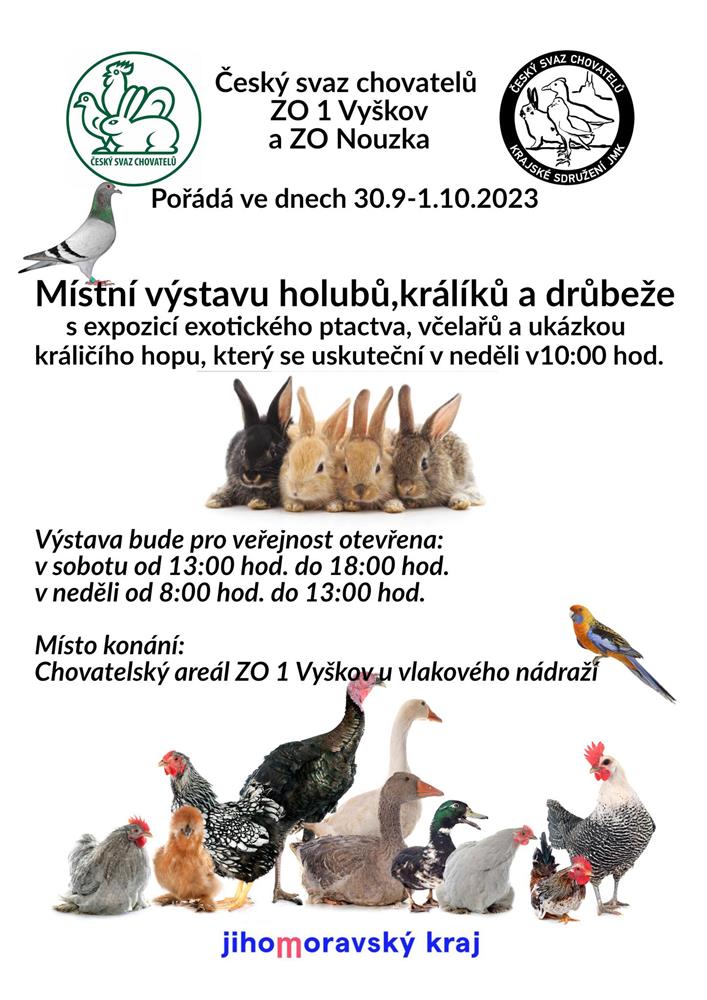 Místní výstava králíků, holubů a drůbeže