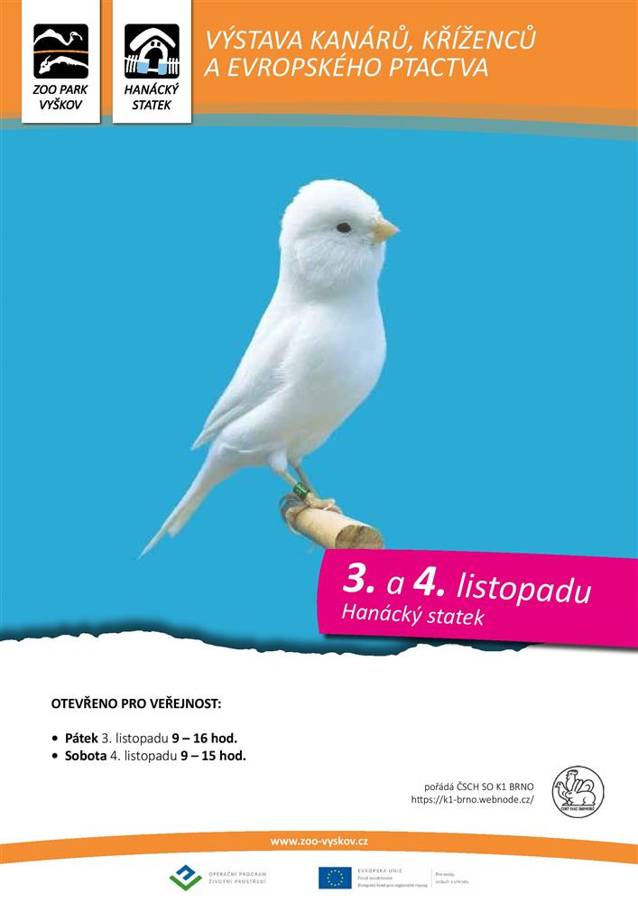 Výstava kanárů, kříženců a evropského ptactva