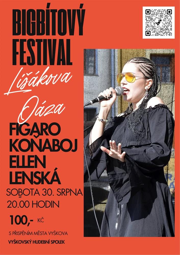 Bigbítový festival