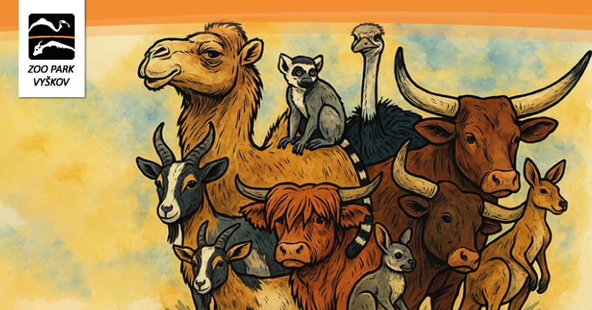 Den zvířat - Oslava 60 let zoo
