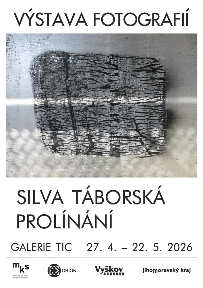 Silva Táborská - Prolínání