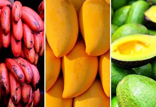Čerstvé mango, avokádo nebo papája. Do Vyškova v srpnu míří Africké trhy