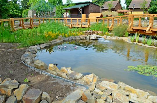 Expozice v ZOO PARKU: velkorysé vodní plochy i nové druhy ptáků