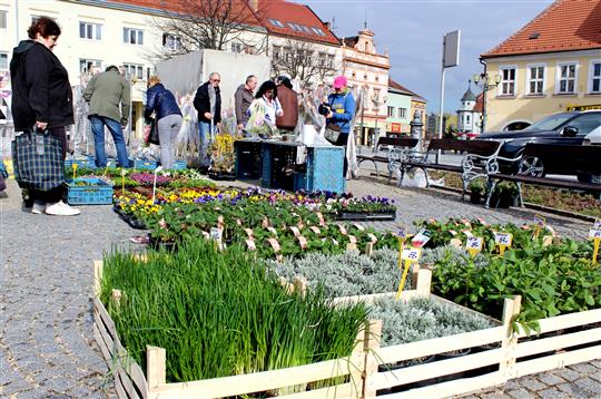 Vyškovské trhy jsou zpět. Model jednou za 14 dní se osvědčil
