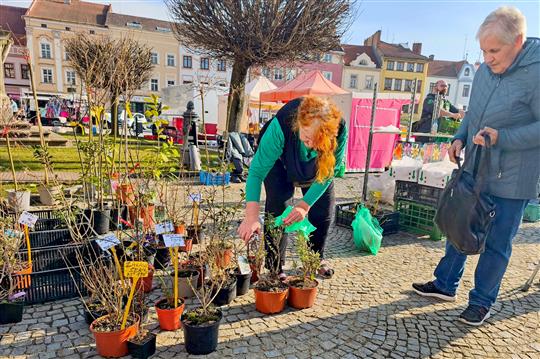 Jaro se přihlásilo o slovo. Vyškov vstupuje do nové trhové sezony